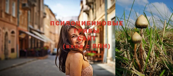 трава Кулебаки
