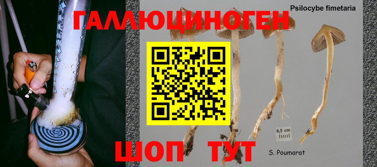 Псилоцибиновые грибы прущие грибы  Вход с VPN  Нефтеюганск 