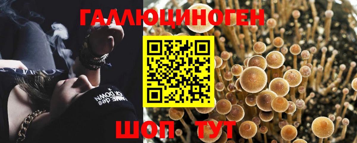 Галлюциногенные грибы Cubensis Нефтеюганск